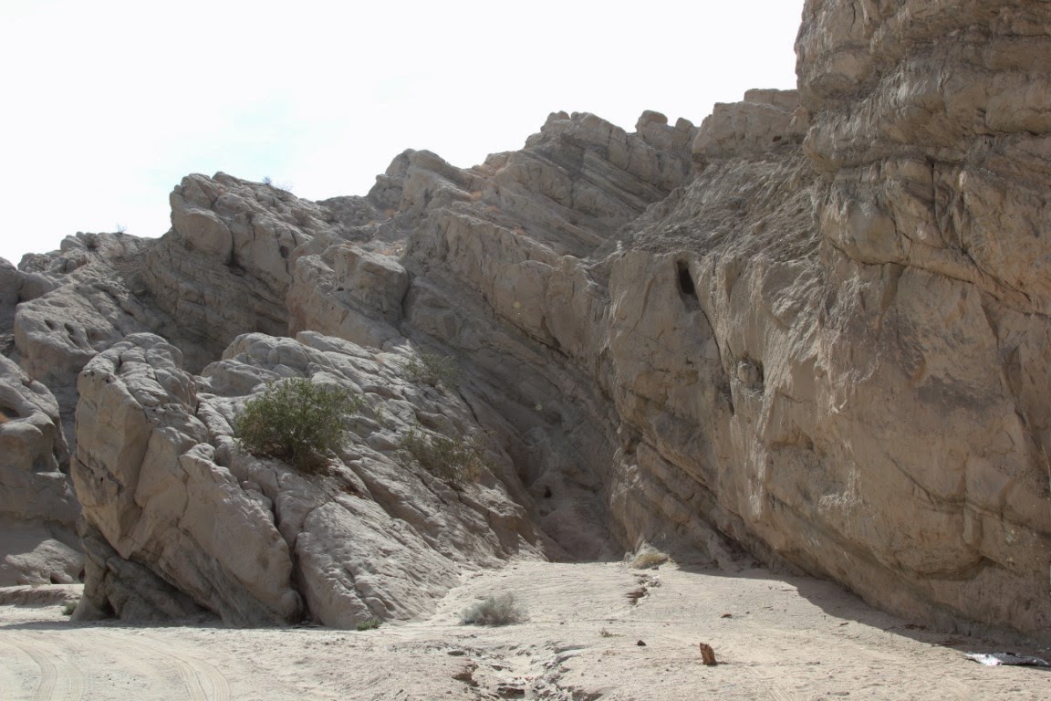 A testy bastard, at times. Box Canyon, Mecca, California.